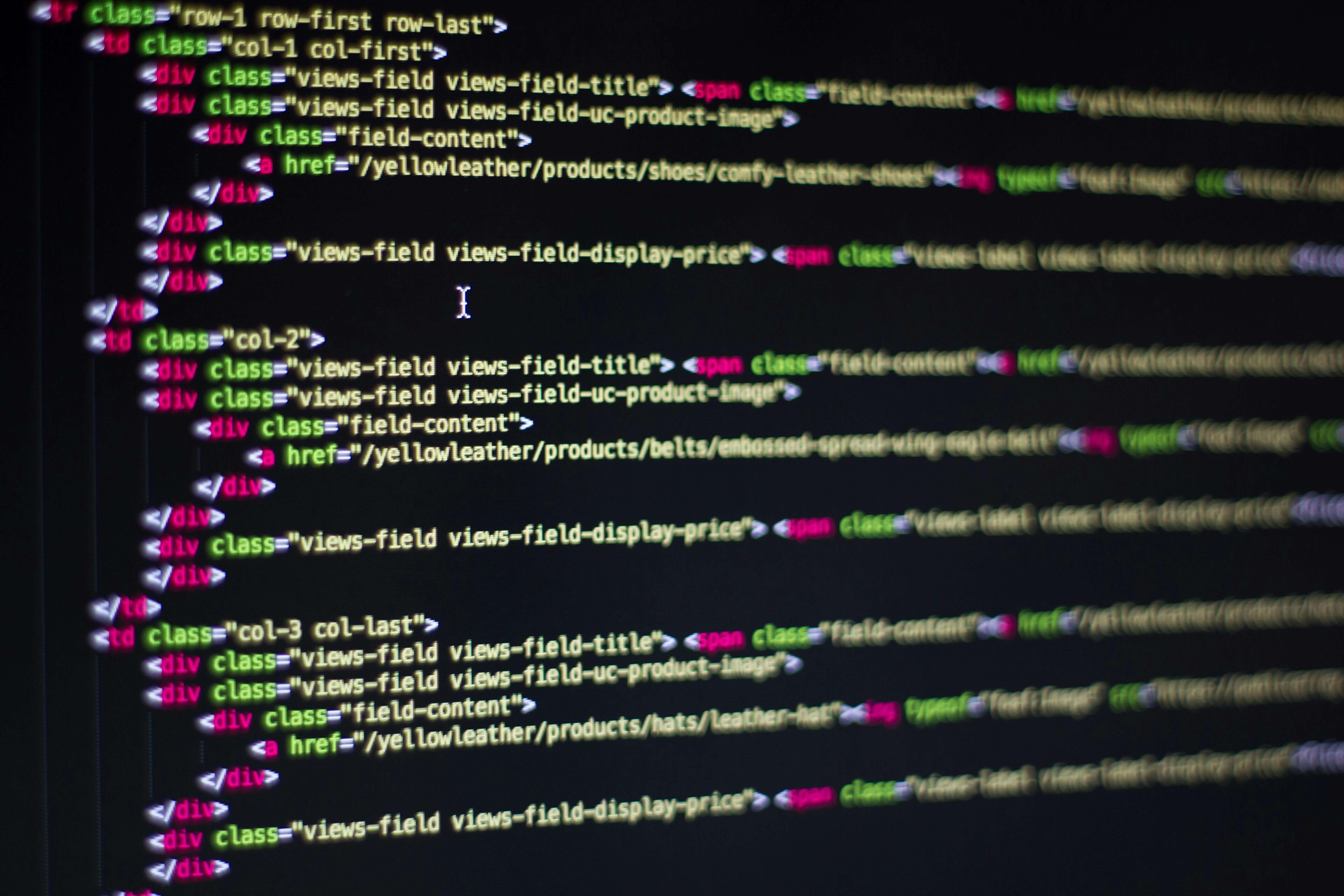 Desarrollo Web Profesional